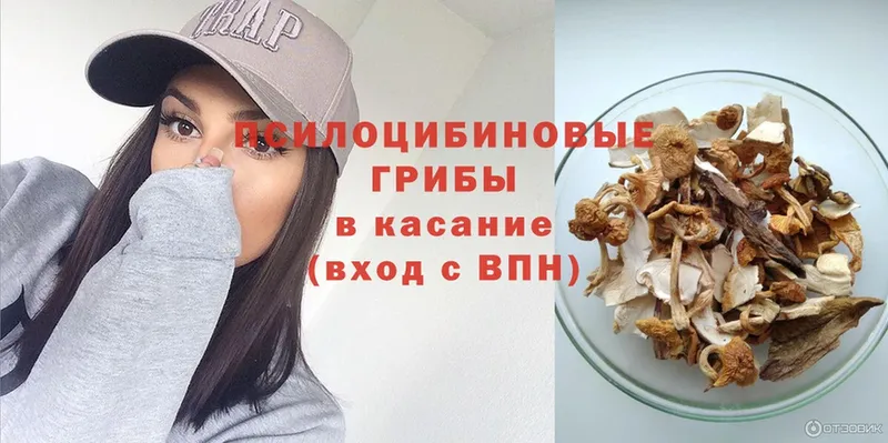 Псилоцибиновые грибы Magic Shrooms  цены наркотик  мориарти какой сайт  Ясногорск  KRAKEN вход 